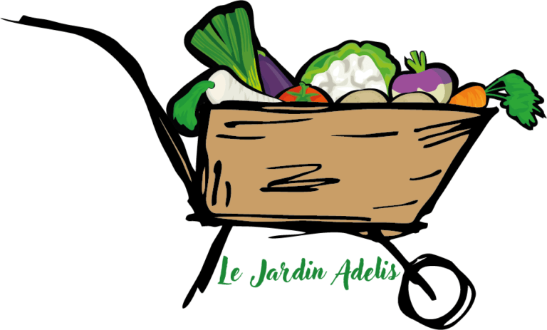Logo du Jardin Adelis conçu par l'agence Videocom