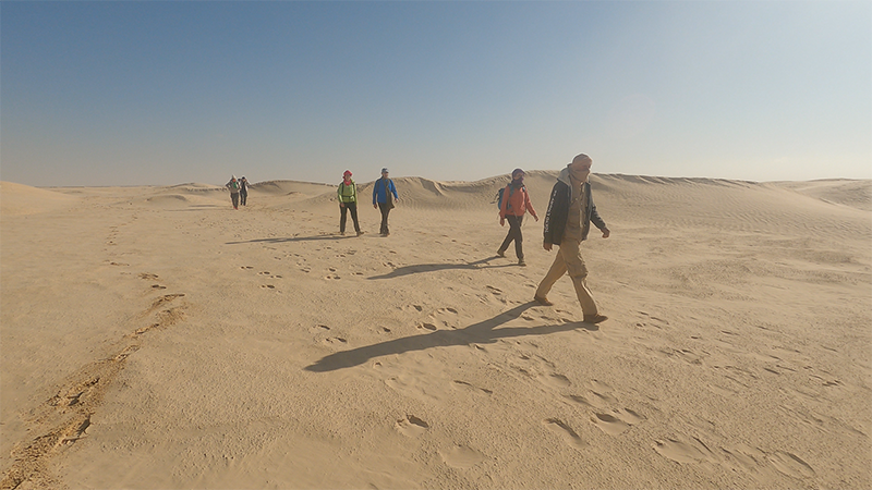 Un groupe de trekkeurs marche en file derrière un guide à travers les dunes du désert tunisien, vivant une aventure immersive et authentique.