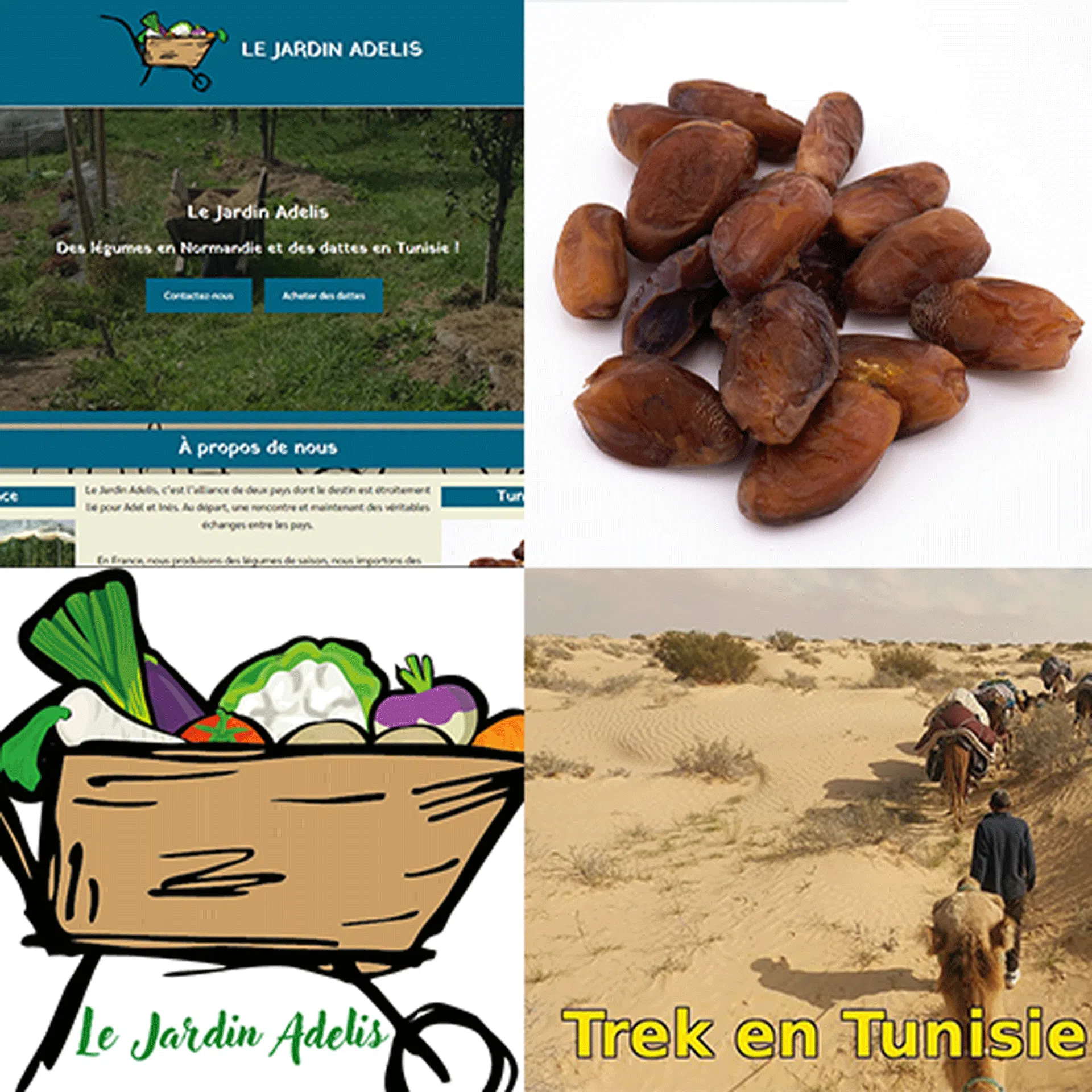 Projets Combinés