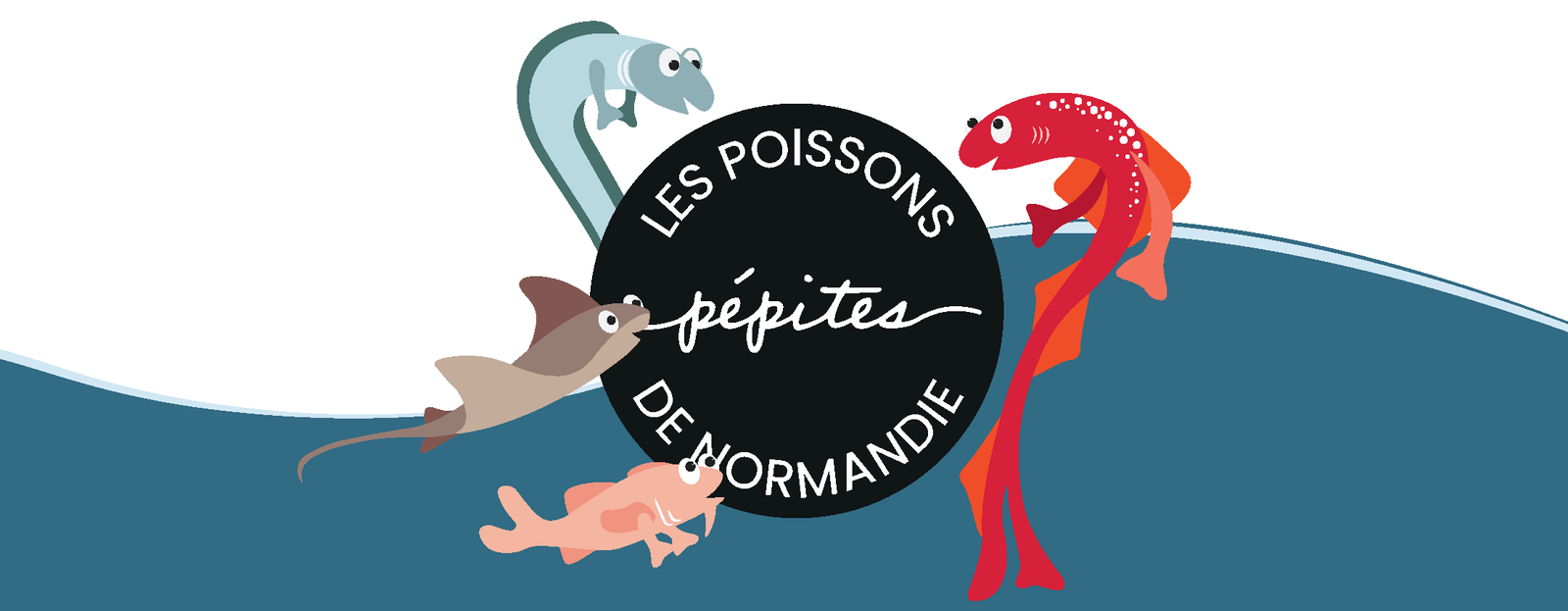 Illustration Les Poissons Pépites de Normandie