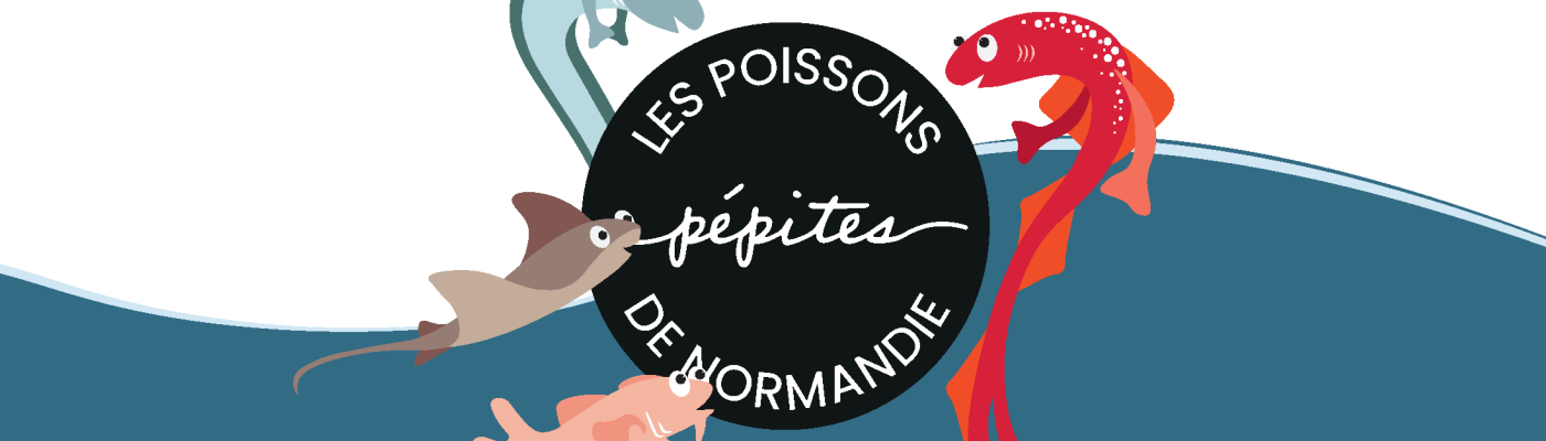 9_PDFsam_Fichiers pour fish truck vectoriel